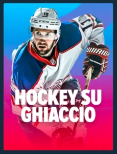 Betting Stake sull’hockey su ghiaccio: NHL, ECHL e tornei